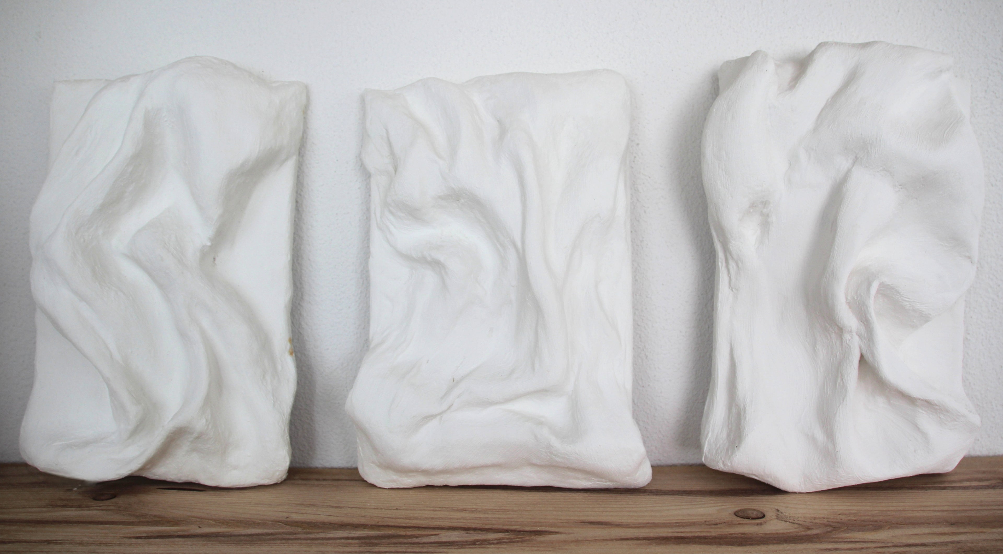 Sculptural Wall Art 3 Set